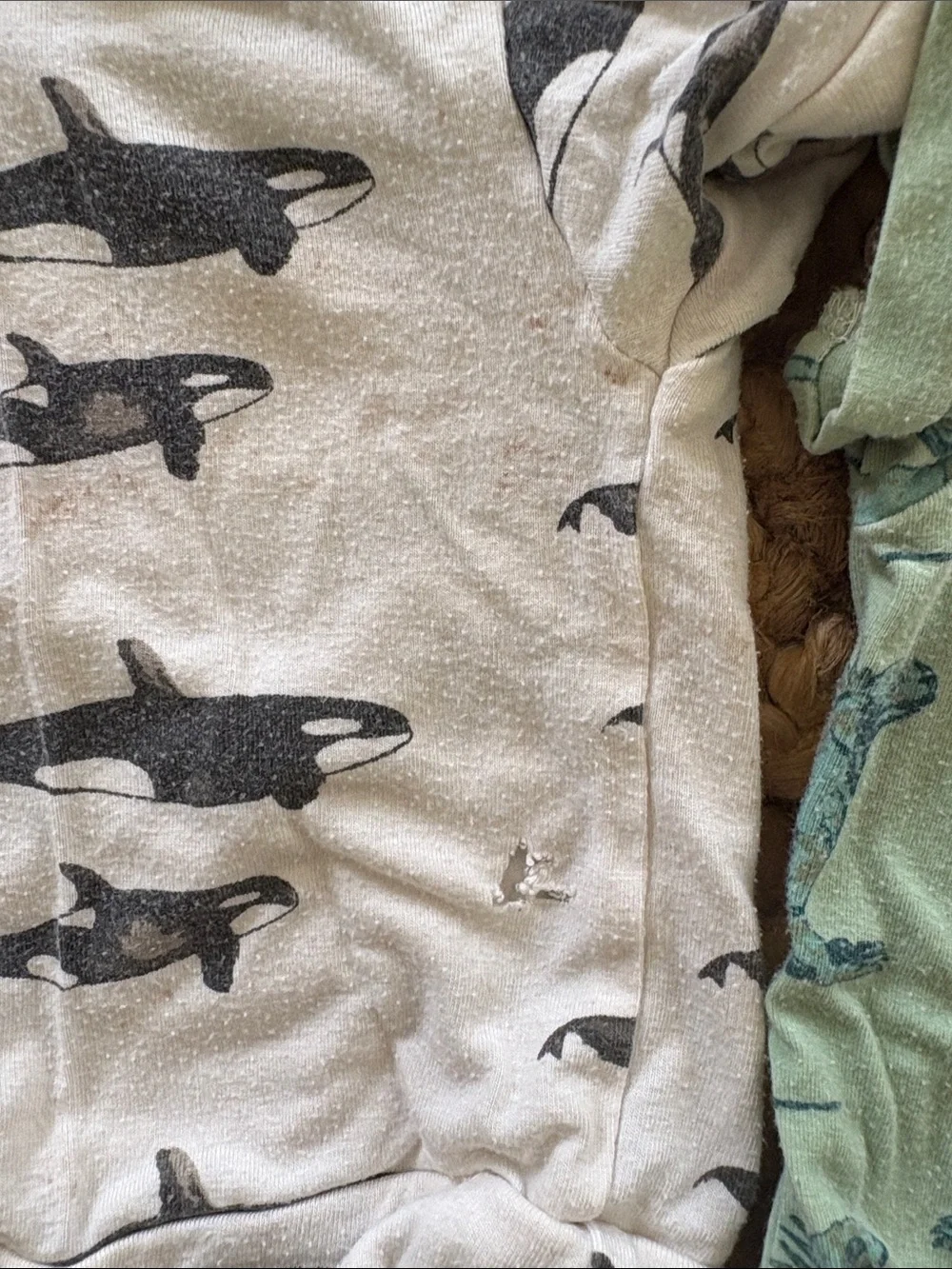 kate quinn Black, White & Mint Shark Print Kids 3-Piece Bottoms Set